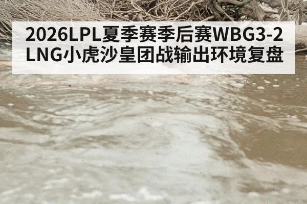 2026LPL夏季赛季后赛WBG3-2LNG小虎沙皇团战输出环境复盘