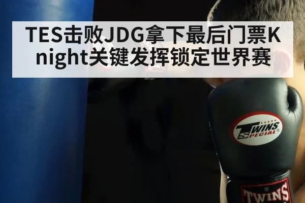 TES击败JDG拿下最后门票Knight关键发挥锁定世界赛