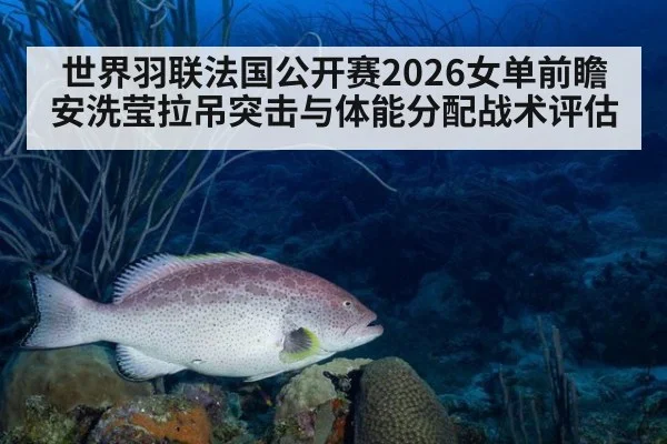 世界羽联法国公开赛2026女单前瞻 安洗莹拉吊突击与体能分配战术评估