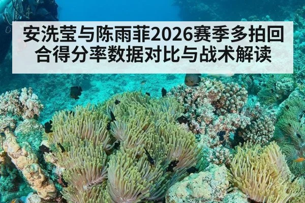 安洗莹与陈雨菲2026赛季多拍回合得分率数据对比与战术解读